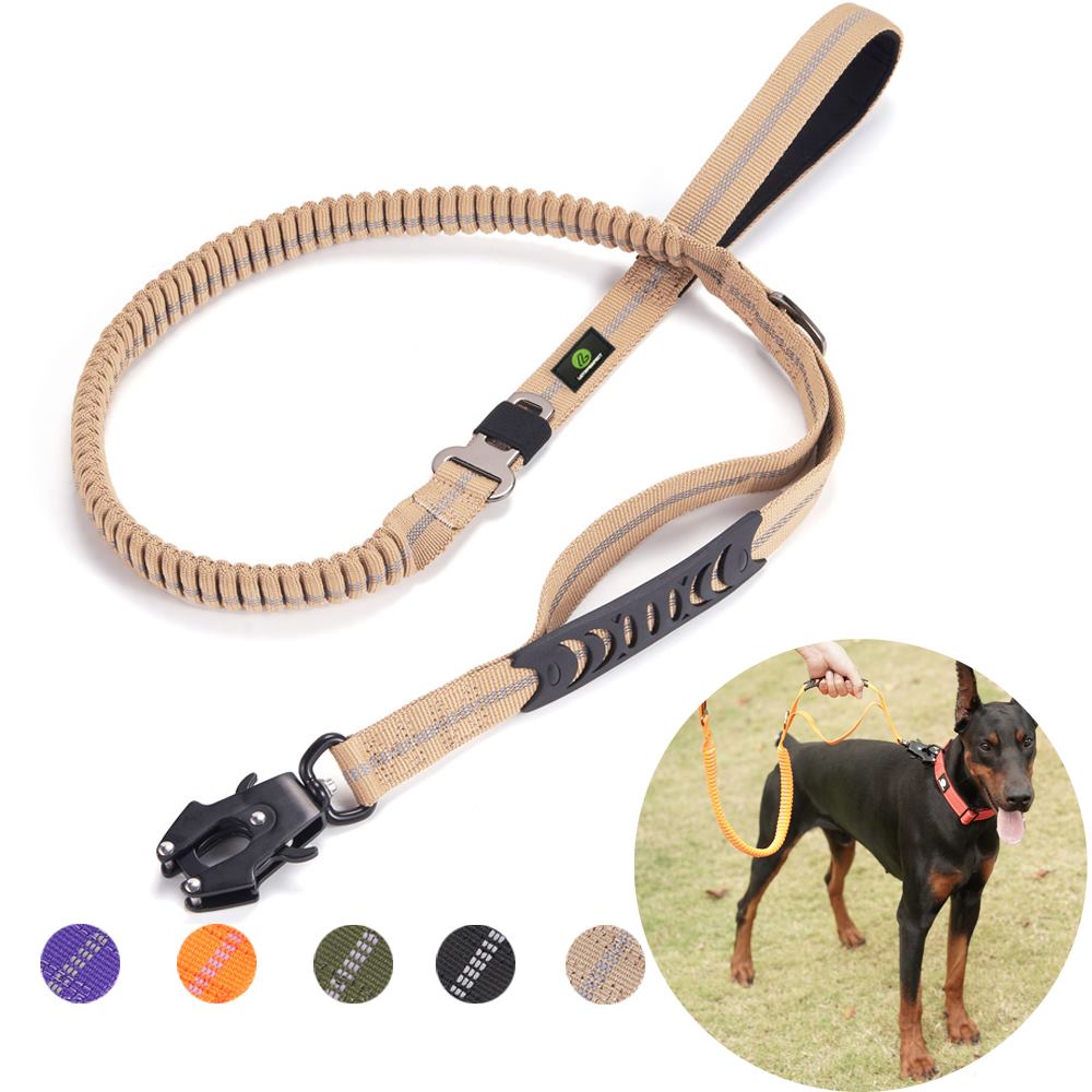 Bungee Dog Leashes