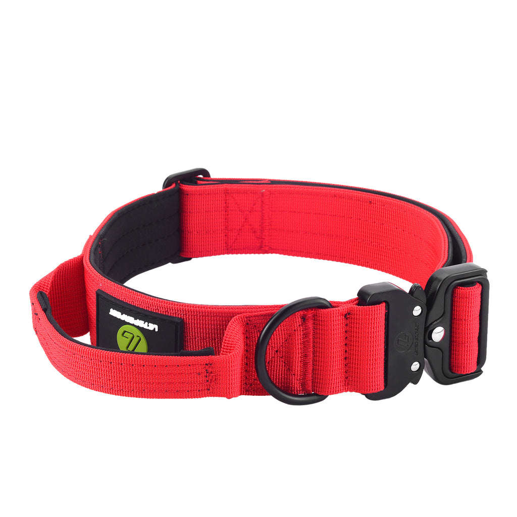 Dog Collar With Handle