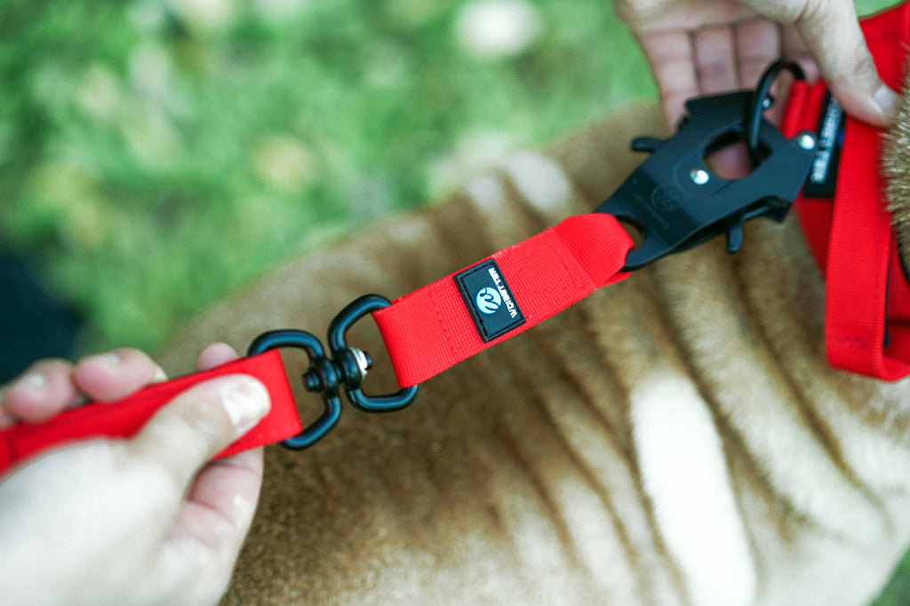 Dog Swivel Combat Leash | Dog Red Leash | letsperfect