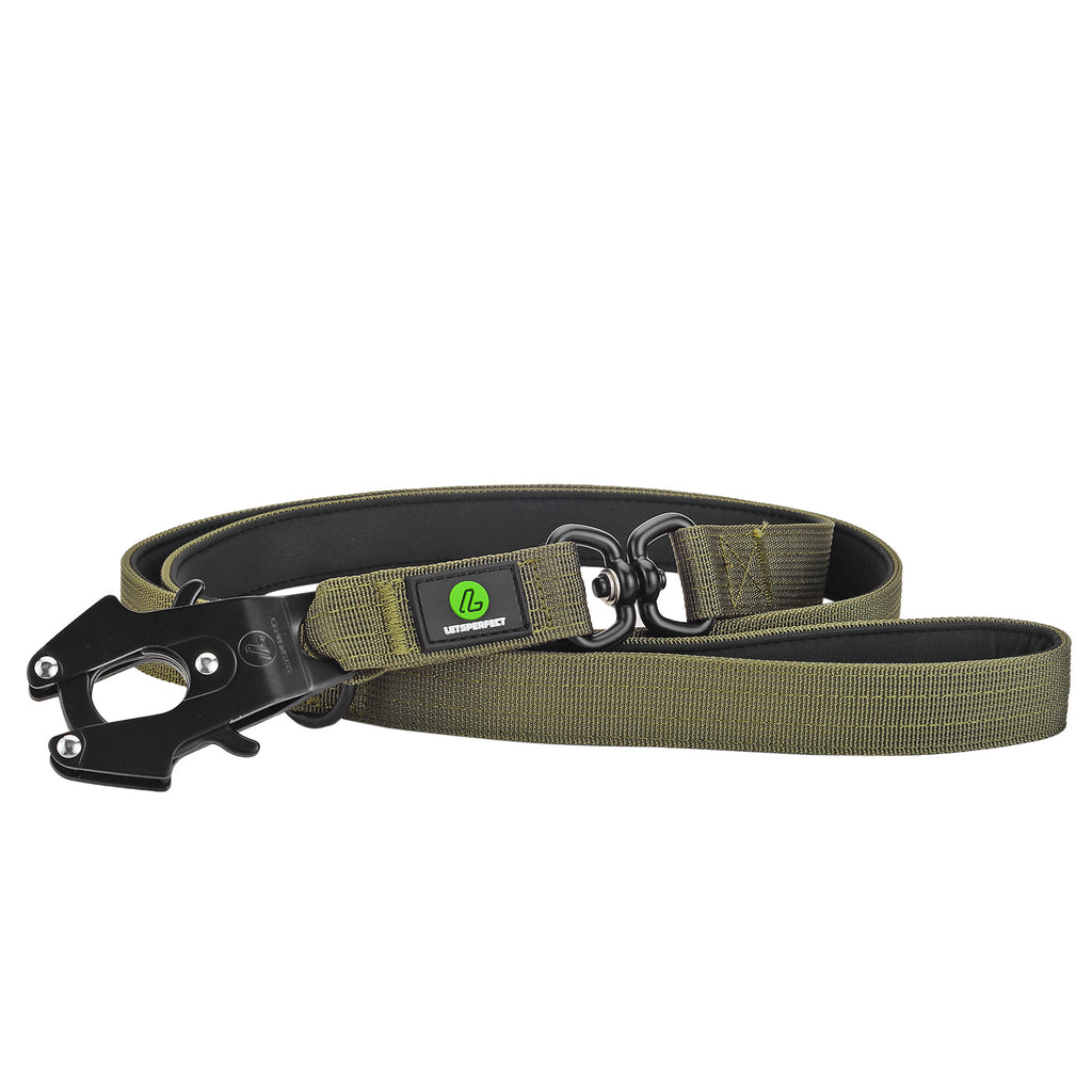 Dog Green Swivel Leash | Dog Frog Clip Leash | letsperfect