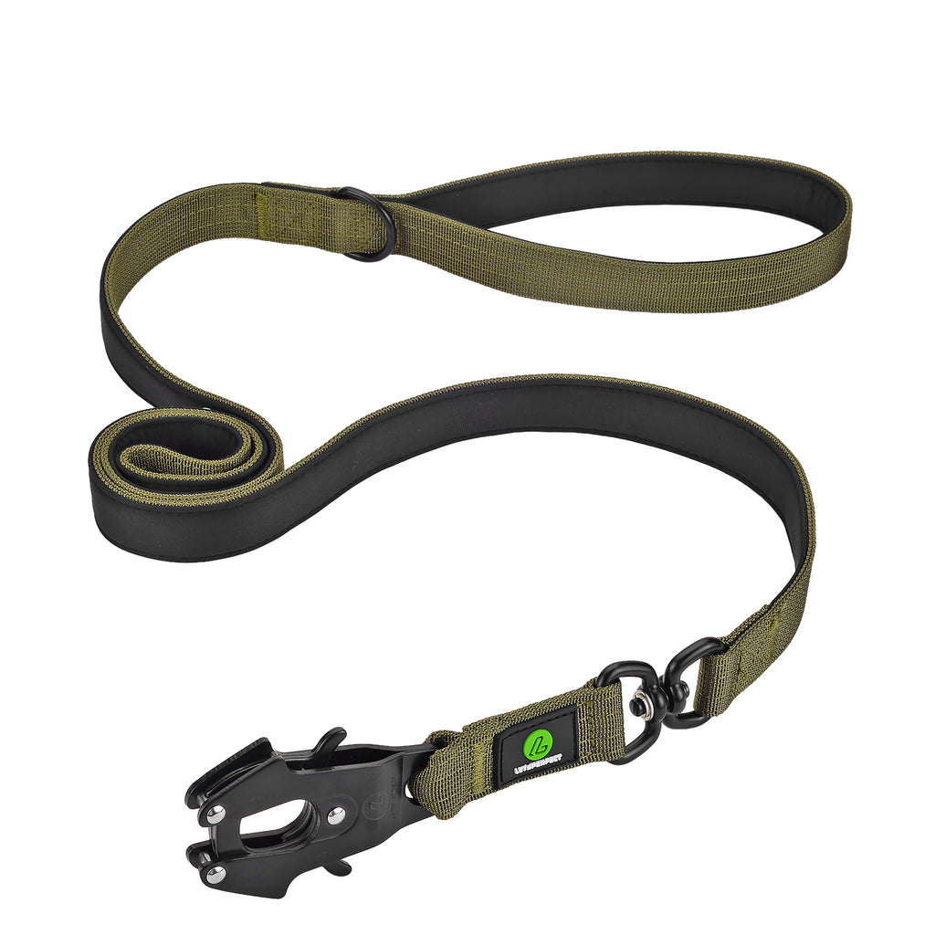 Dog Green Swivel Leash | Dog Frog Clip Leash | letsperfect