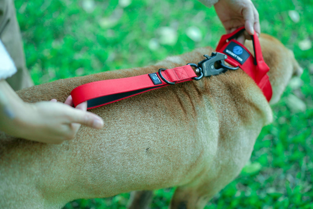 Dog Red Traffic Leash | Dog Red Lead Traffic Leash | letsperfect