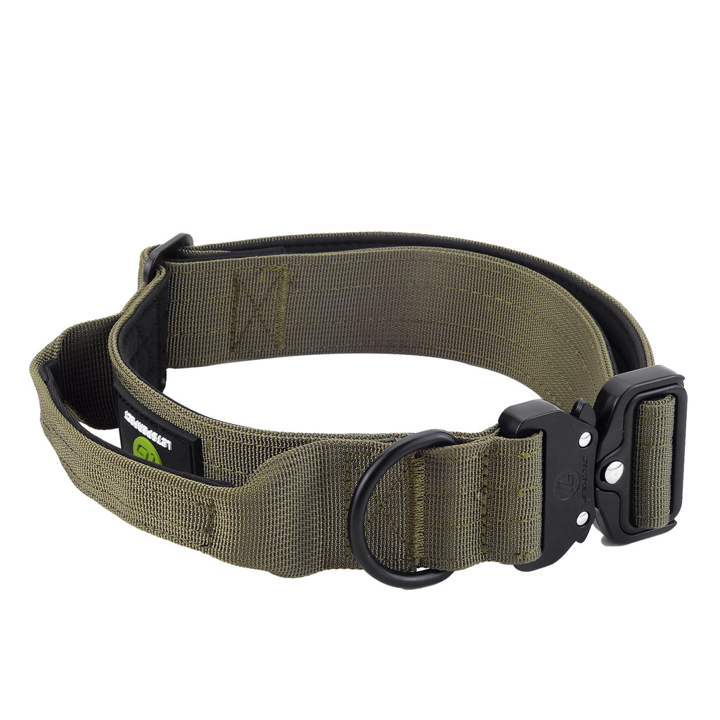 Dog Green Collar | Dog Collar with Handle | letsperfect