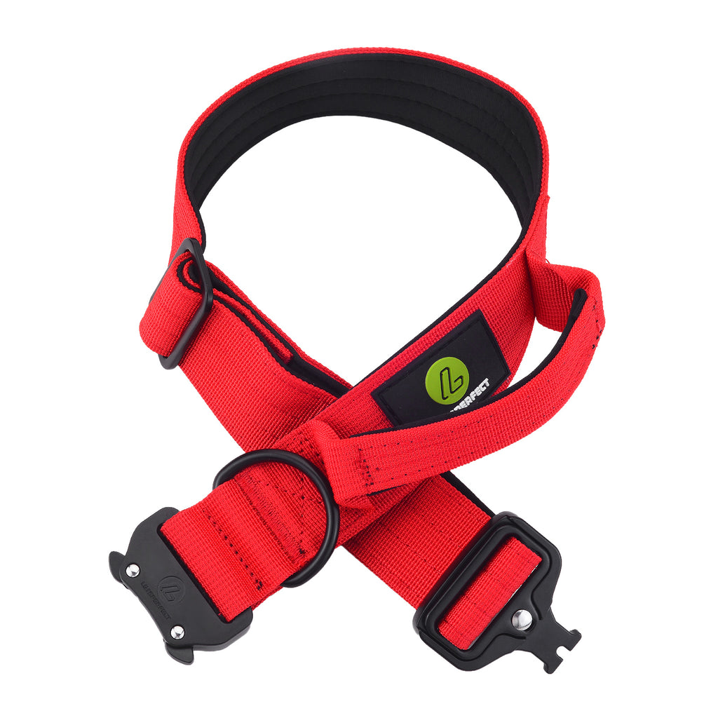 Dog Red Collar | Dog Red Combat Collar | letsperfect